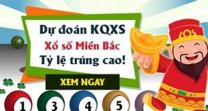 Dự đoán kết quả 9/1